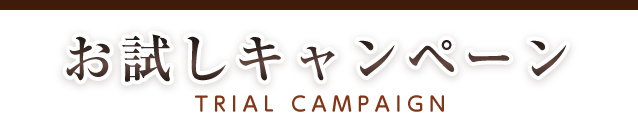お試しキャンペーン